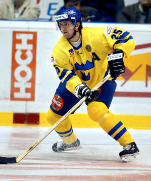 Thomas Rhodin, Sverige