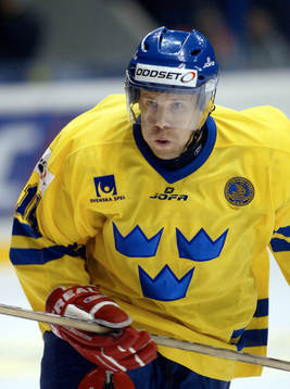 Niklas Nordgren, Sverige