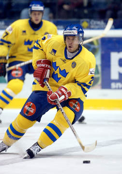 Martin Lindman, Sverige