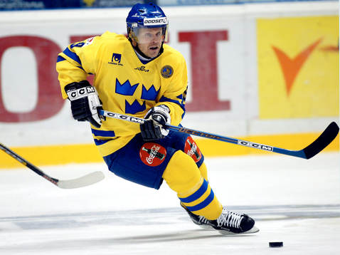 Greger Artursson, Sverige