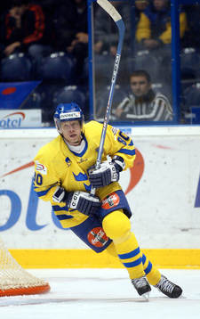 Patrik Zetterberg, Sverige