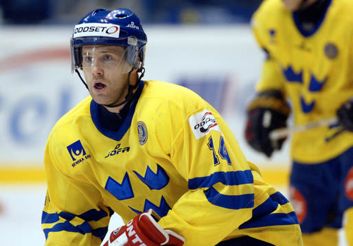 Niklas Nordgren, Sverige
