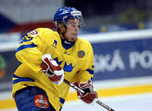 Ronnie Sundin, Sverige