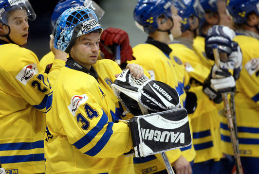 Mikael Sandberg, Sverige