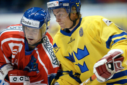Magnus Johansson, Sverige