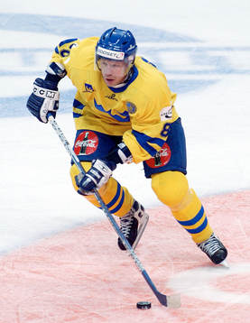 Patrik Zetterberg, Sverige