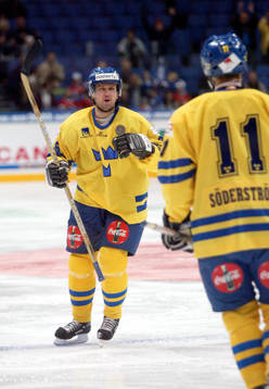 Thomas Rhodin, Sverige