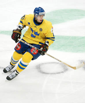 Niklas Anger, Sverige