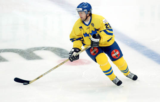 Thomas Rhodin, Sverige