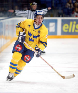 Nichlas Falk, Sverige