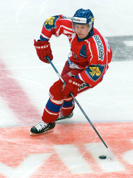 Jaroslav Hlinka, Tjeckien