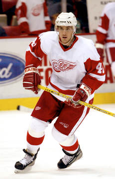 Henrik Zetterberg, Detroit