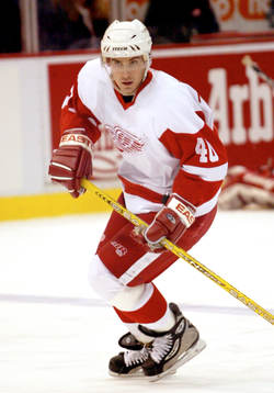 Henrik Zetterberg, Detroit