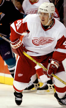 Henrik Zetterberg, Detroit