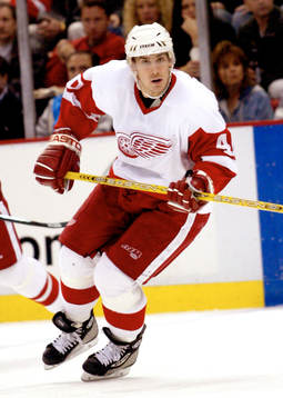 Henrik Zetterberg, Detroit