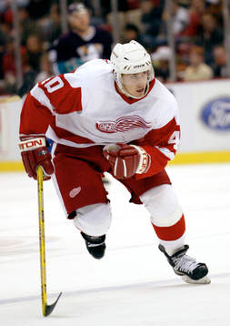 Henrik Zetterberg, Detroit