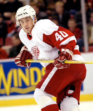 Henrik Zetterberg, Detroit