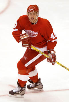 Henrik Zetterberg, Detroit
