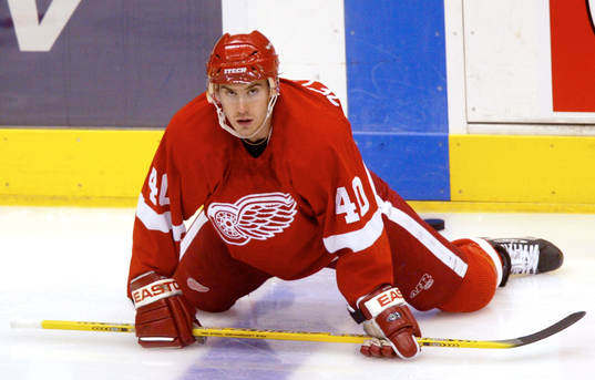 Henrik Zetterberg, Detroit