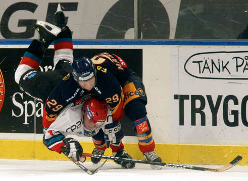 Mikael Magnusson, Djurgården