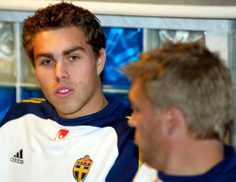 Johan Elmander, Sverige