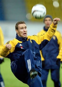 Niklas Skoog, Sverige