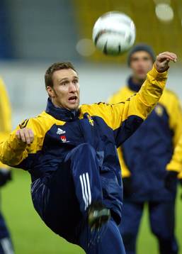 Niklas Skoog, Sverige