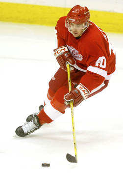 Henrik Zetterberg, Detroit