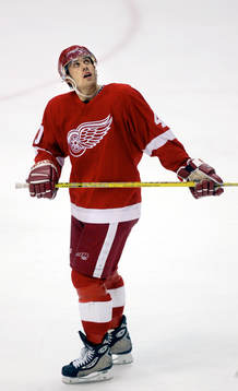 Henrik Zetterberg, Detroit