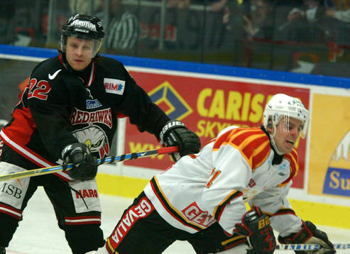 David Petrasek, Malmö och Ove Molin, Brynäs