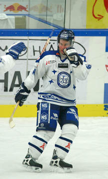 Mikael Pettersson, Leksand