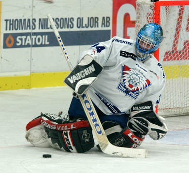 Mikael Sandberg, målvakt, Linköping
