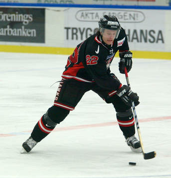 David Petrasek, Malmö