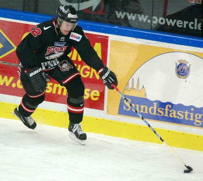 David Petrasek, Malmö