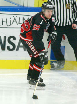 David Petrasek, Malmö