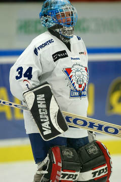 Ishockey, Elitserien, Malmö - Linköping