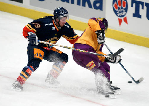 Mikael Magnusson, Djurgården