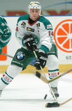 Roger Hansson, Rögle
