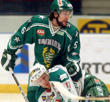 Elias Abrahamsson, Hammarby och Torgny Löwgren, Rögle