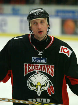 Sergei Fokin, Malmö