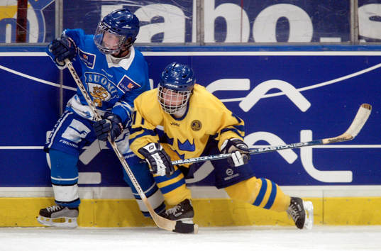 Maria Larsson, Sverige