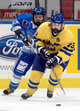 Gunilla Andersson, Sverige