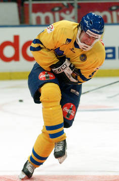 Magnus Wernblom, Sverige