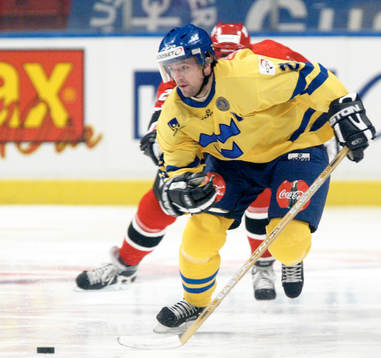 Thomas Rhodin, Sverige