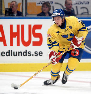 Magnus Johansson, Sverige