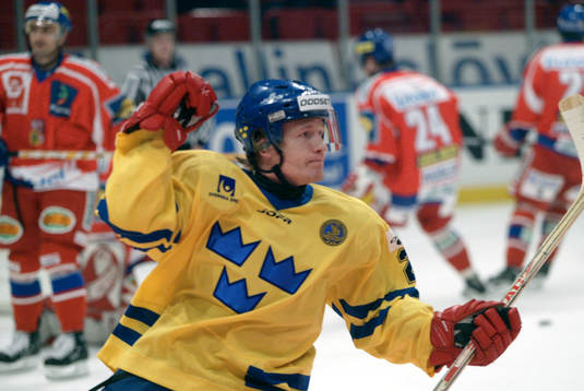 Niklas Andersson, Sverige jublar