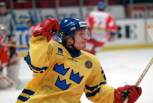 Niklas Andersson, Sverige jublar