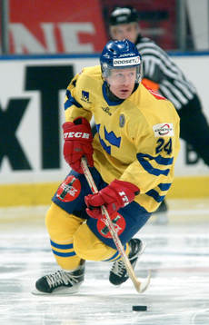 Niklas Andersson, Sverige