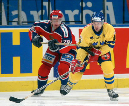 Niklas Nordgren, Sverige