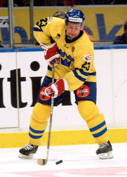 Ronnie Sundin, Sverige